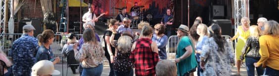 Crowd moving at a blues bash with The James Pitts Band.